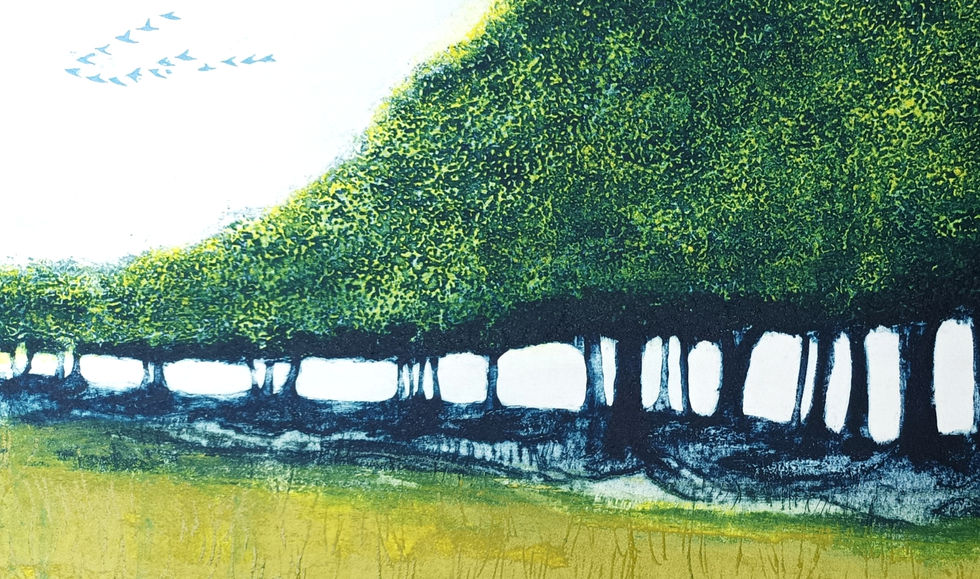 Under Giant trees, Jo Biggadike, Ambling Press, Collagraph Print