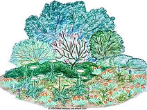 Pollinator Garden Rendering _10.25.jpg