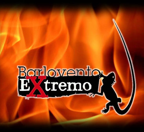 elementos bx4.JPG
