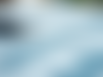 Maximizing Financial Security in Medical Therapy Investments