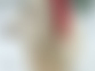 New Year's Update 2026