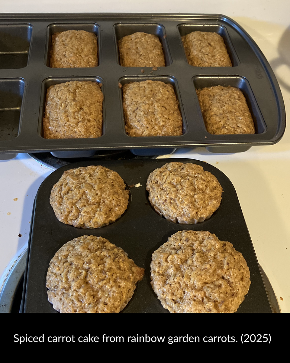 Spiced carrot cake from rainbow garden carrots. (2025)