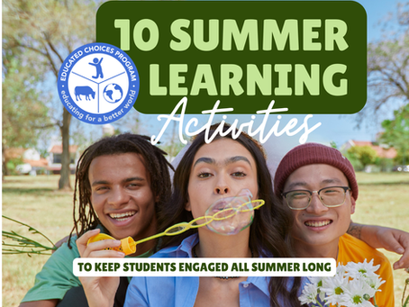 10 Summer Learning Activities That Keep Students Engaged All Summer Long