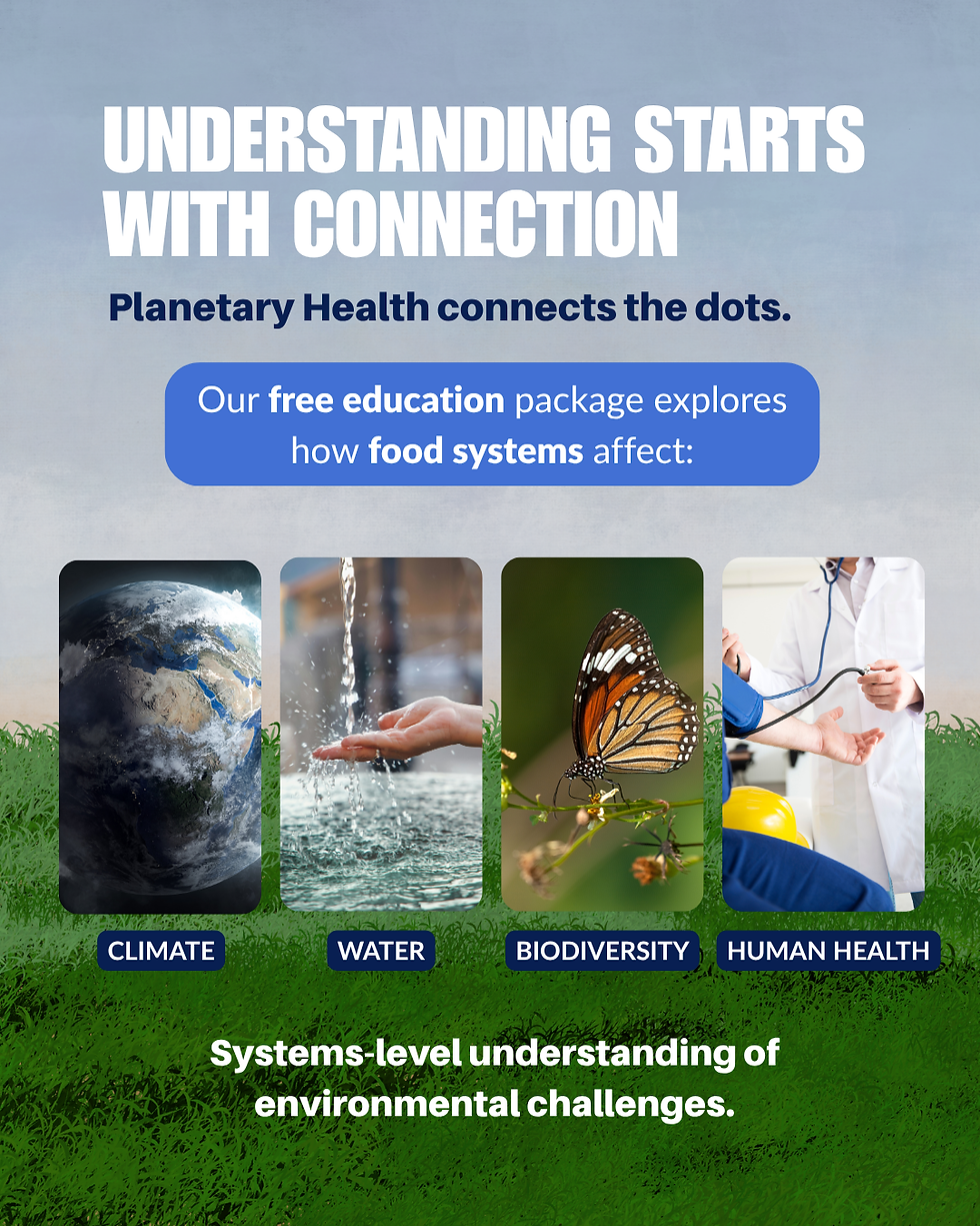 Poster with Earth, water, butterfly, and doctor panels promoting Planetary Health; text says understanding starts with connection.