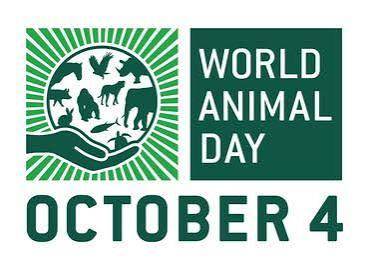 World Animal Day logo with animal silhouettes in a green circle and the text WORLD ANIMAL DAY, OCTOBER 4.