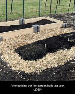 After building our first garden beds last year. (2025)