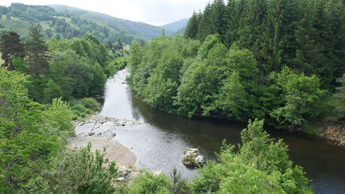 P1130852_.jpg