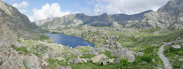 P1030768_.jpg