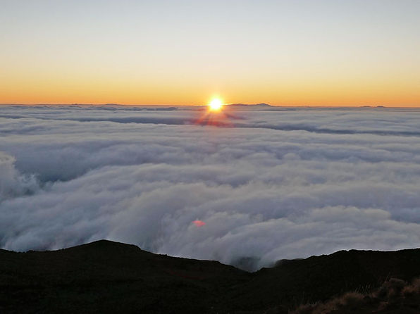 P1090186_.jpg