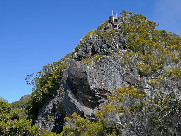 P1090103_.jpg