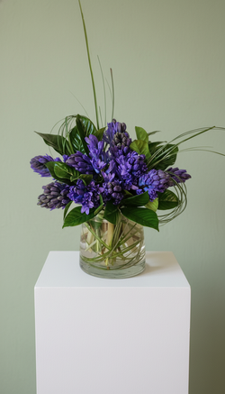 VIOLET
