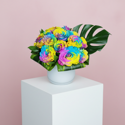 Rainbow Roses