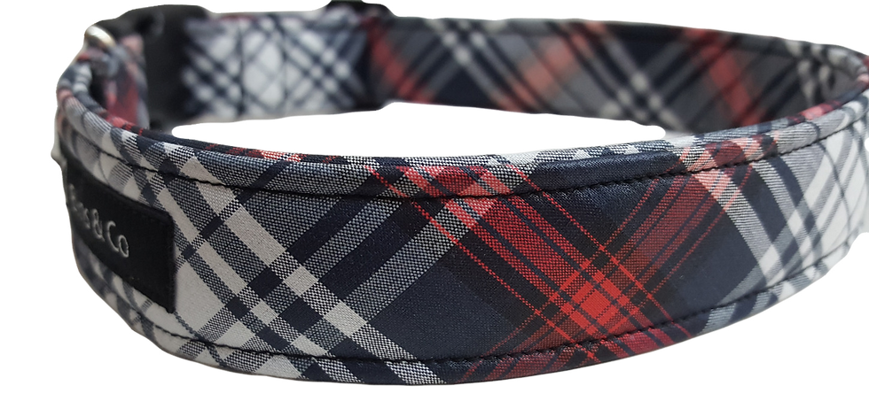 Miniaturbild: Anti-Filz Halsband "Tartan"
