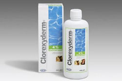 Clorexyderm Shampoo 4%
