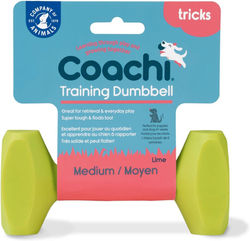 Training Dumbbell