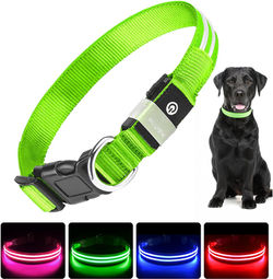 Leuchthalsband Hund USB Aufladbar - LED Halsband für Hunde
