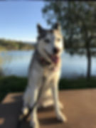 At the Lake
