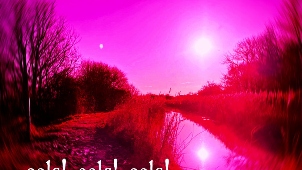 Welcome To "Eel Land": New Music From East Anglia's Finest EELS! EELS! EELS!