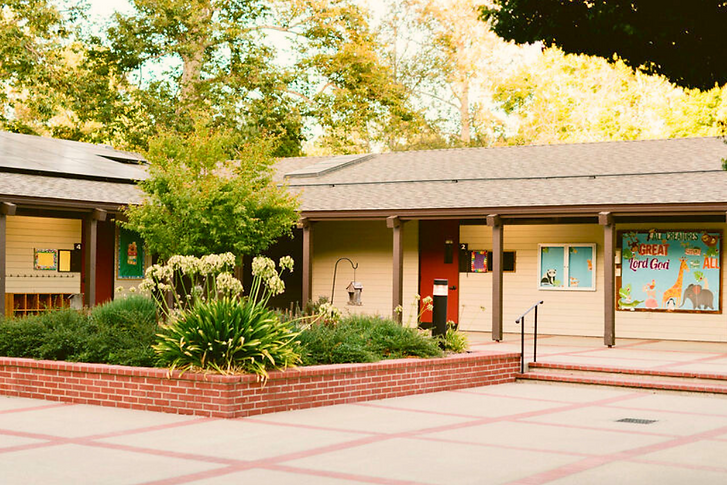 Untitled design (19).png