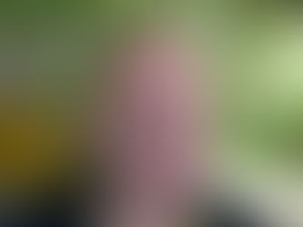 המימד הרביעי ודחיסת הזמן