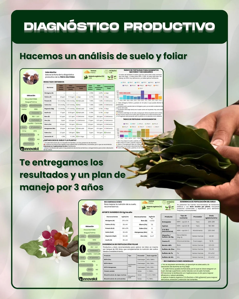 Diagnóstico productivo