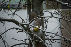 JBPHOTO