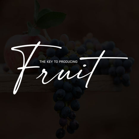 The Key to Producing Fruit