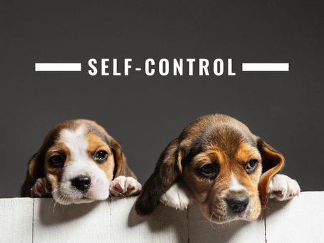 Self-Control