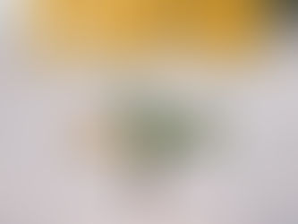 Stunting Your Spiritual Growth