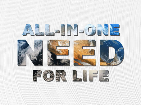 All In One Need for Life