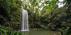 EcoTour-listing-8.jpg
