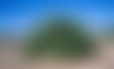 Giving Me the Creeps