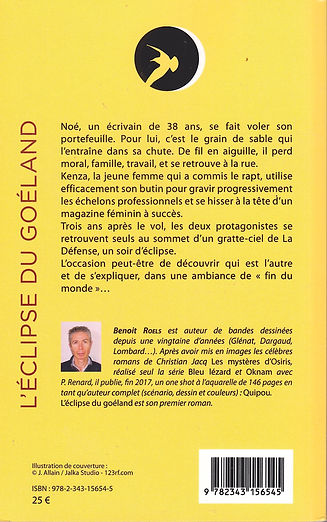 L'éclipse du goéland