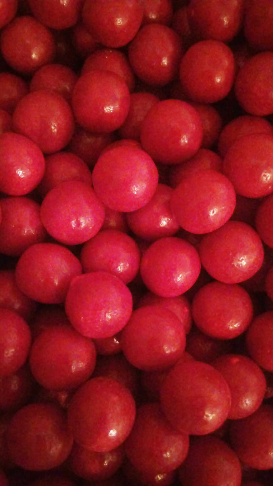 KANGURO CHAMOY.