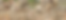 Website design .png