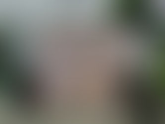 先導太陽能電池自動化設備順利Move-in來台