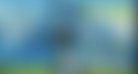 A few of my favorite things...