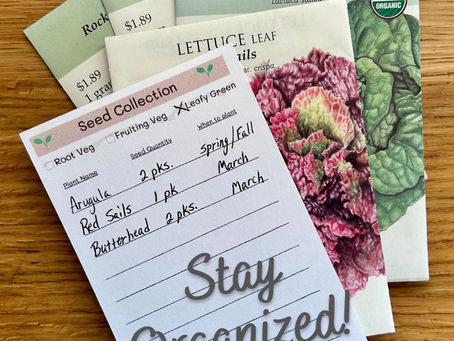 Seeds of Success: Tips & Tricks for Starting Your Garden from Seeds