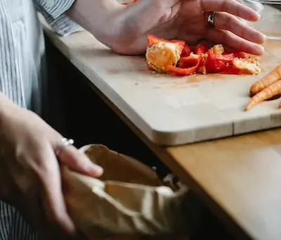 Magical Kitchen Scraps: A Story of Rebirth