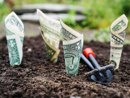 Garden Side Hustles: 5 Clever Ways To Monetize Your Garden