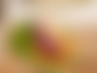 ROLLITOS DE PRIMAVERA CON VEGETALES FRESCOS Y SÉSAMO