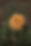 NN76_edited.jpg