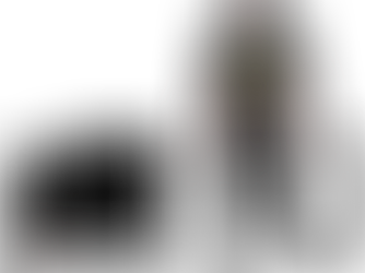 Bringit picks up, storage and delivery luggage from SLC airport