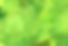 green.jpeg