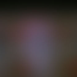 Qué Novedad! (2021)