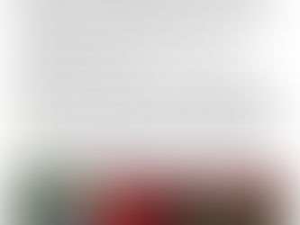 Visite de l'Alliance française de Campinas