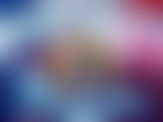 La Sénateur Ronan le Gleut défend une véritable politique de diaspora