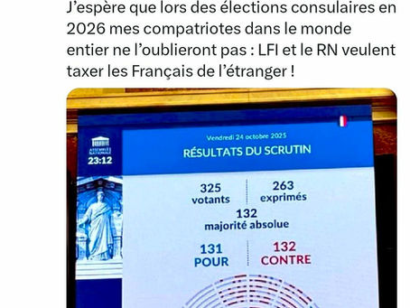 L'impôt universel - Un risque bien réel pour les Français de l'étranger❌ NON à l'impôt sur la Nationalité