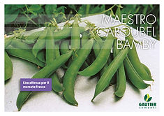 Gautier Semences semences professionnelles semences semences maraîchères professional seeds vegetable seeds