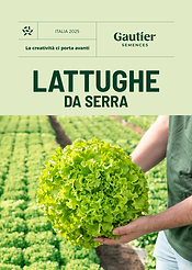 Capture d’écran 2025-06-19 à 08.37.48.png